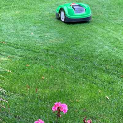 Choosing the Right Robotic Lawn Mower