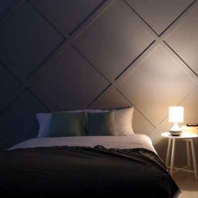 Dimmers for Multifunctional Lighting