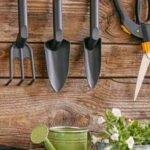 How often should I clean and oil my garden tools