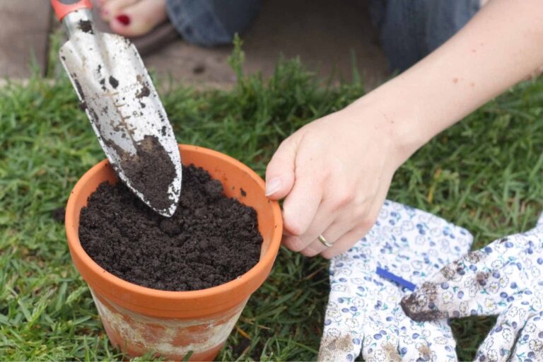 How to prepare soil for planting vegetables in pots
