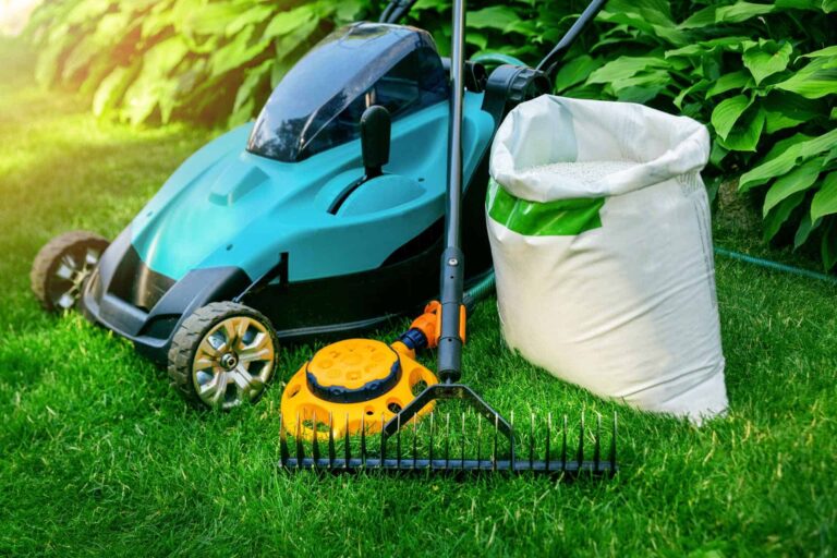 Modern techniques and equipment for lawn care