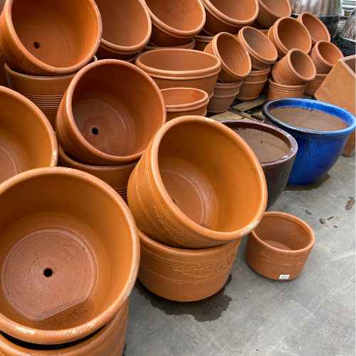Selecting the Right Containers for Vegetable Planting