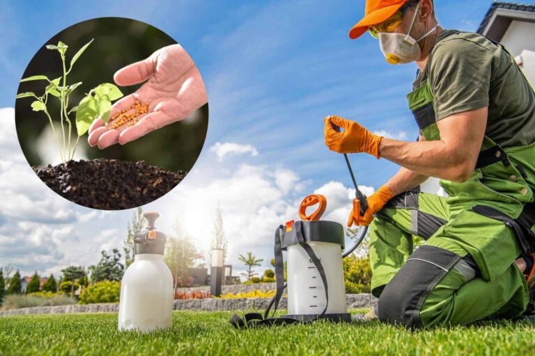 The Top 10 Best Garden Fertilizers for Boosting Plant Growth