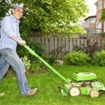 What types of tools and supplies do I need for lawn care
