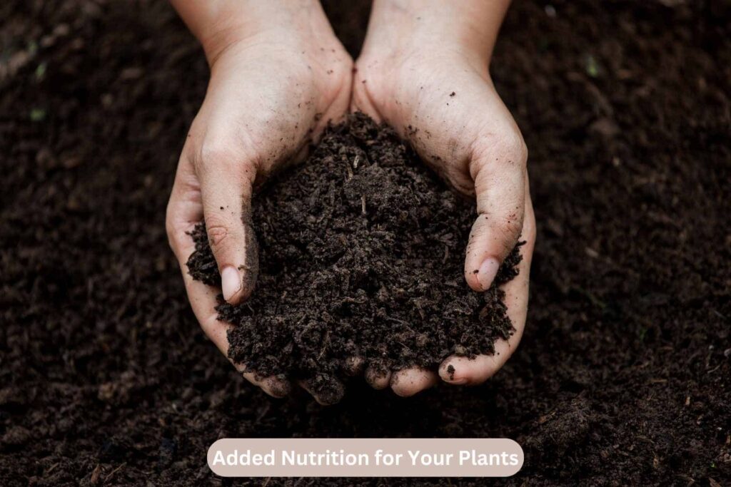 prepare soil for planting vegetables in pots
