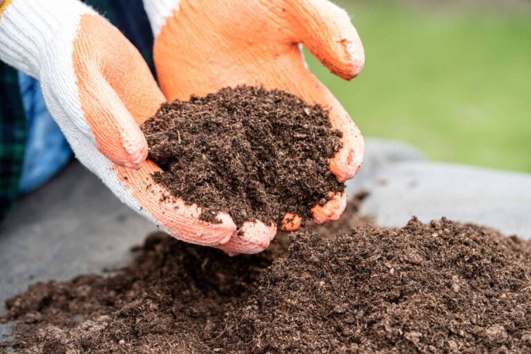 9 Best Potting Soil for Outdoor Plants: Boosting Your Garden’s Growth