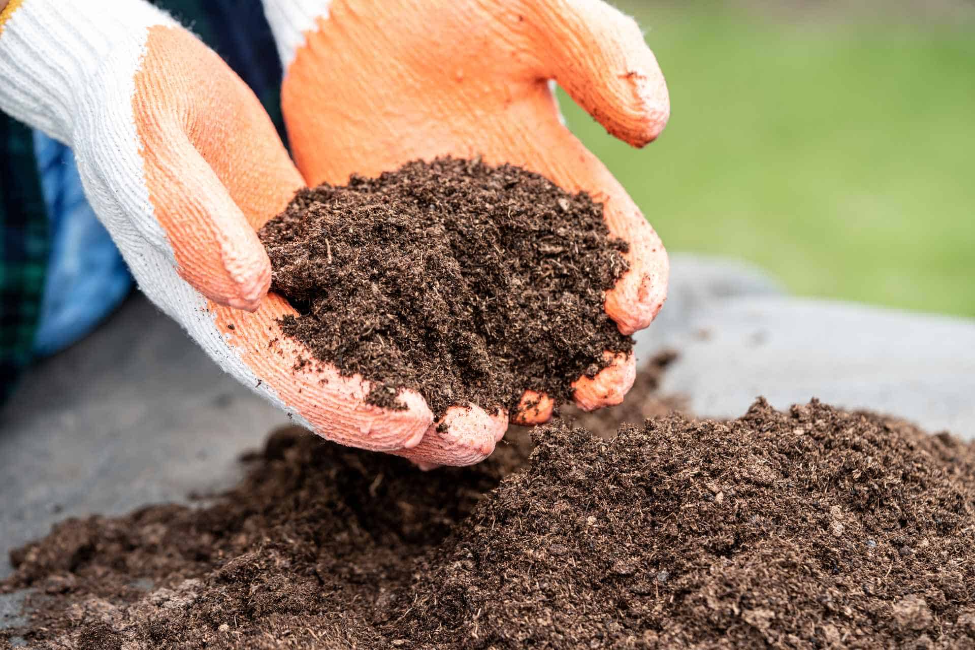 Best Potting Soil for Outdoor Plants Boosting Your Garden's Growth