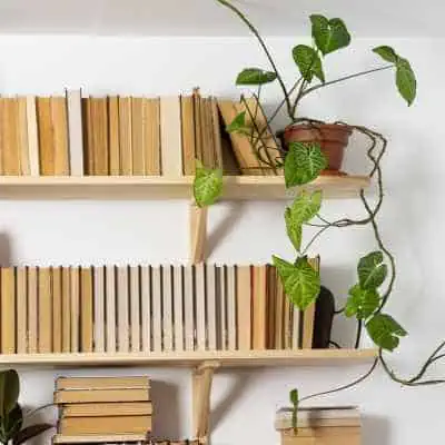 Vertical Bookshelves