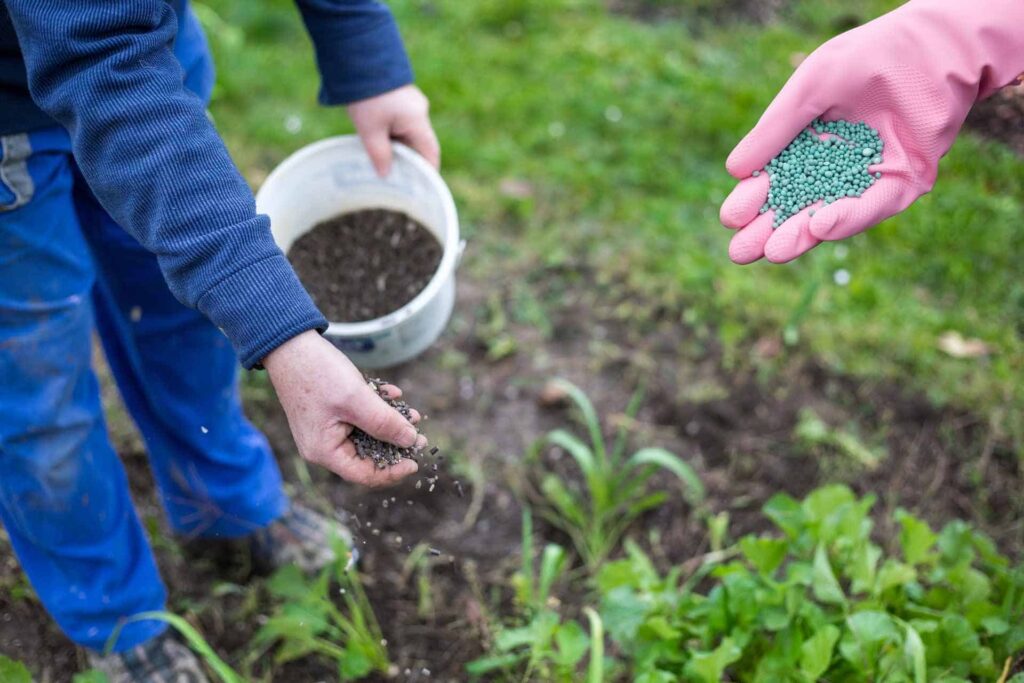 Best Garden Fertilizer for Vegetables Growth