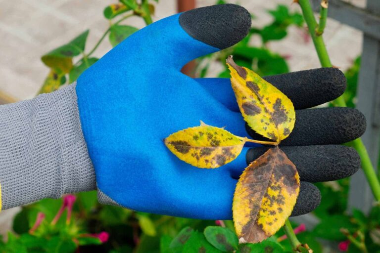 Top 10 Best Garden Gloves for Thorns: Reviewed