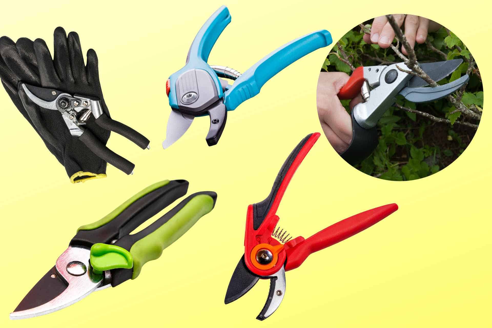 Best Garden Pruners for Tough Branches