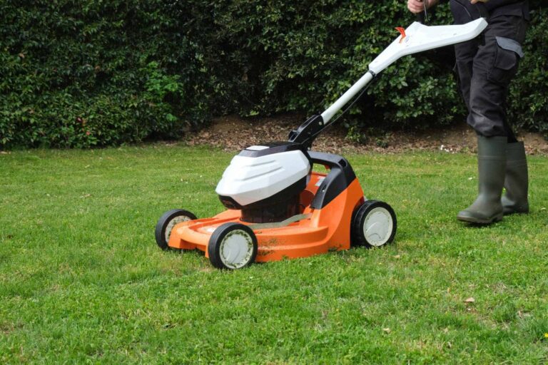 The 10 Best Lawn Mowers
