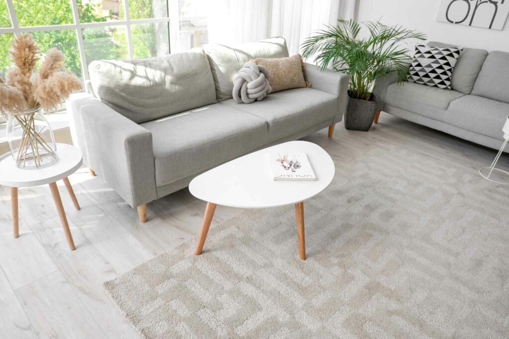Natural and Earthy Tones Rugs