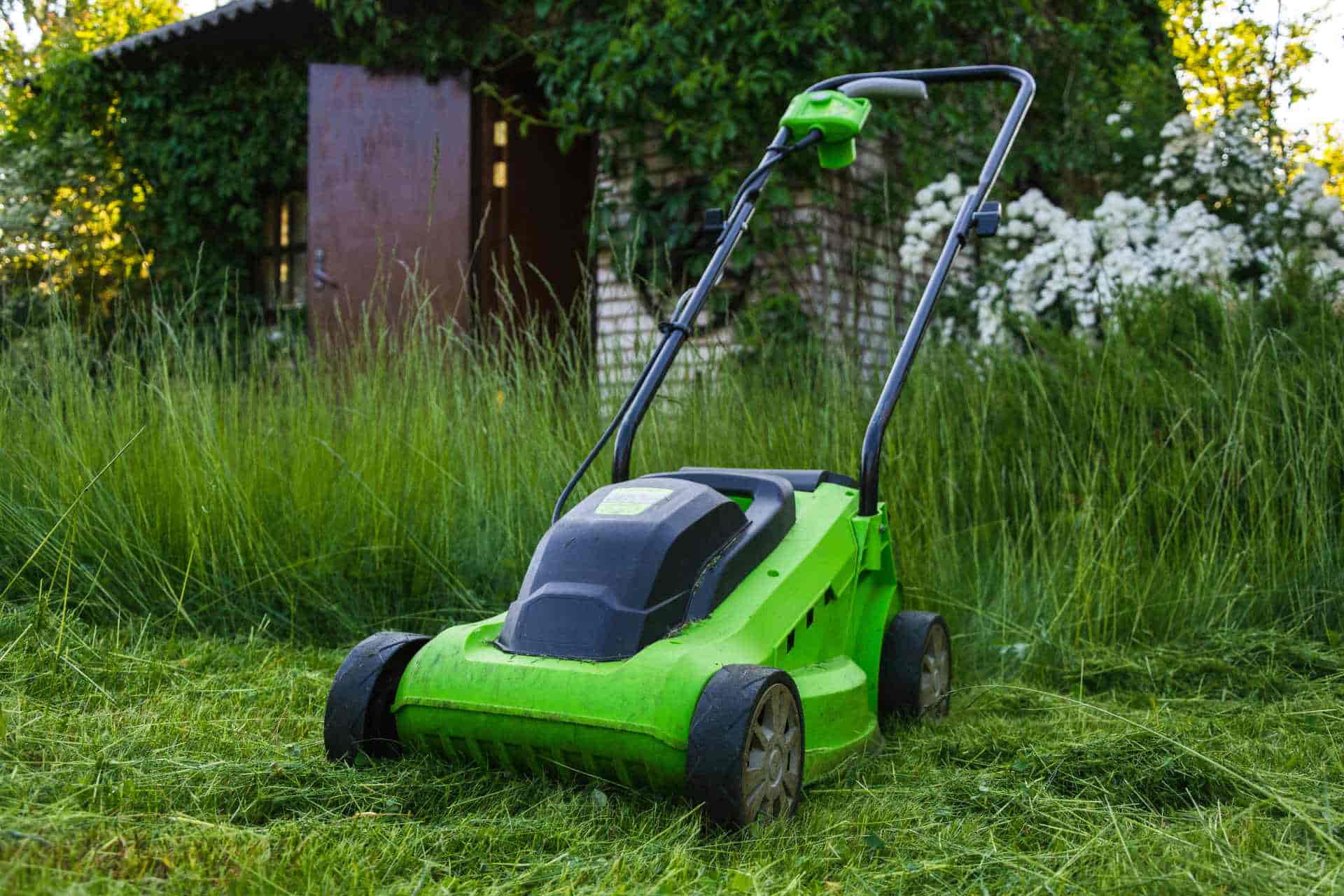 Ultimate Guide - Best Lawn Mower for Small Yard