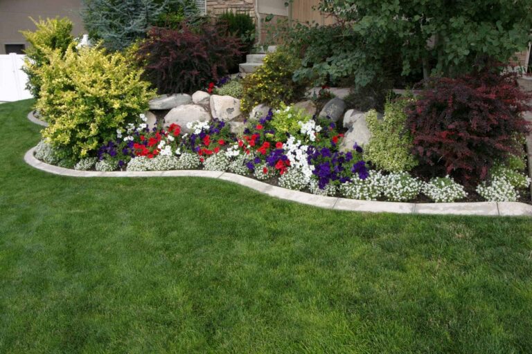 Creating a Colorful Oasis Back Yard Flower Garden Ideas